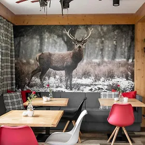 Klimkówka Kwatera prywatna Zakopane